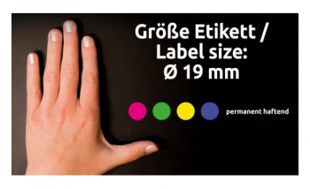 Этикетки Avery Zweckform 3857, сегментов 250шт, 70г/м2, синий