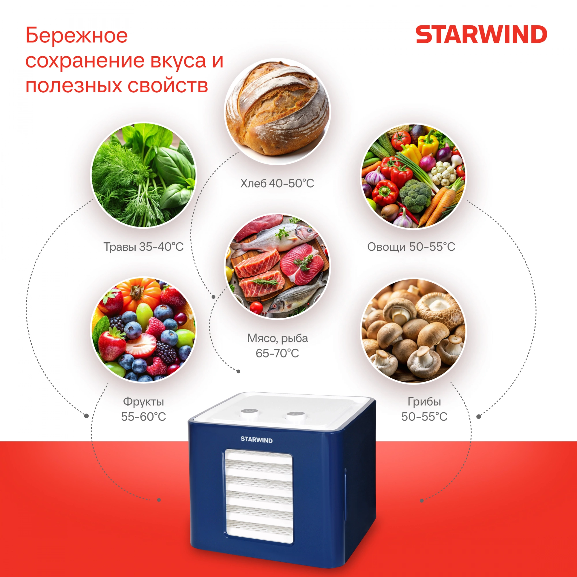 Сушка Starwind SFD6431 синий