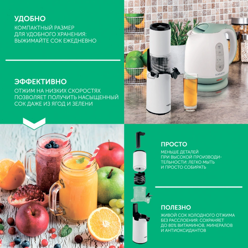 Соковыжималка шнековая Scarlett DailyPress SC-JE50S59 белый (je50s59)