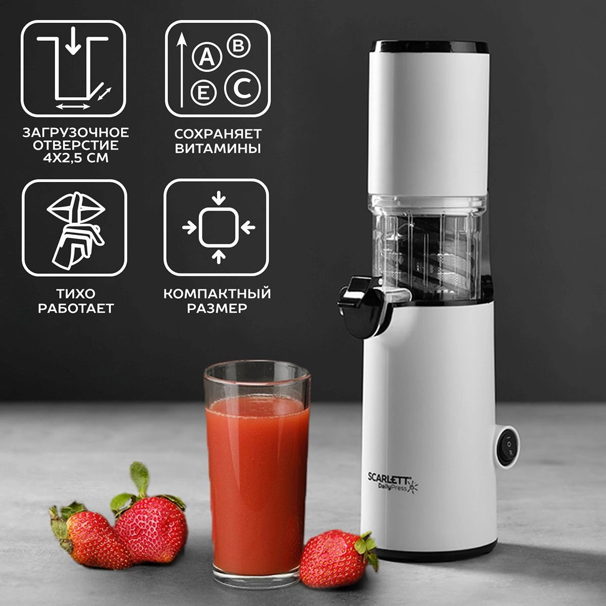 Соковыжималка шнековая Scarlett DailyPress SC-JE50S59 белый (je50s59)