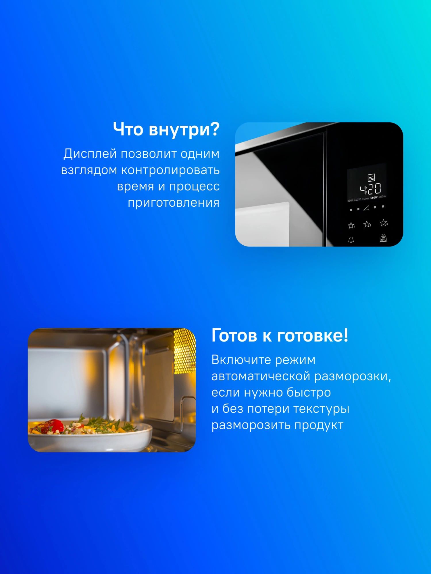 Встраиваемая микроволновая печь Electrolux LMS2203EMX черный