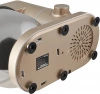 Миксер планетарный Domfy DSC-KM301 золотистый
