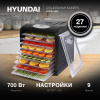 Сушка Hyundai HYFD-1802 черный