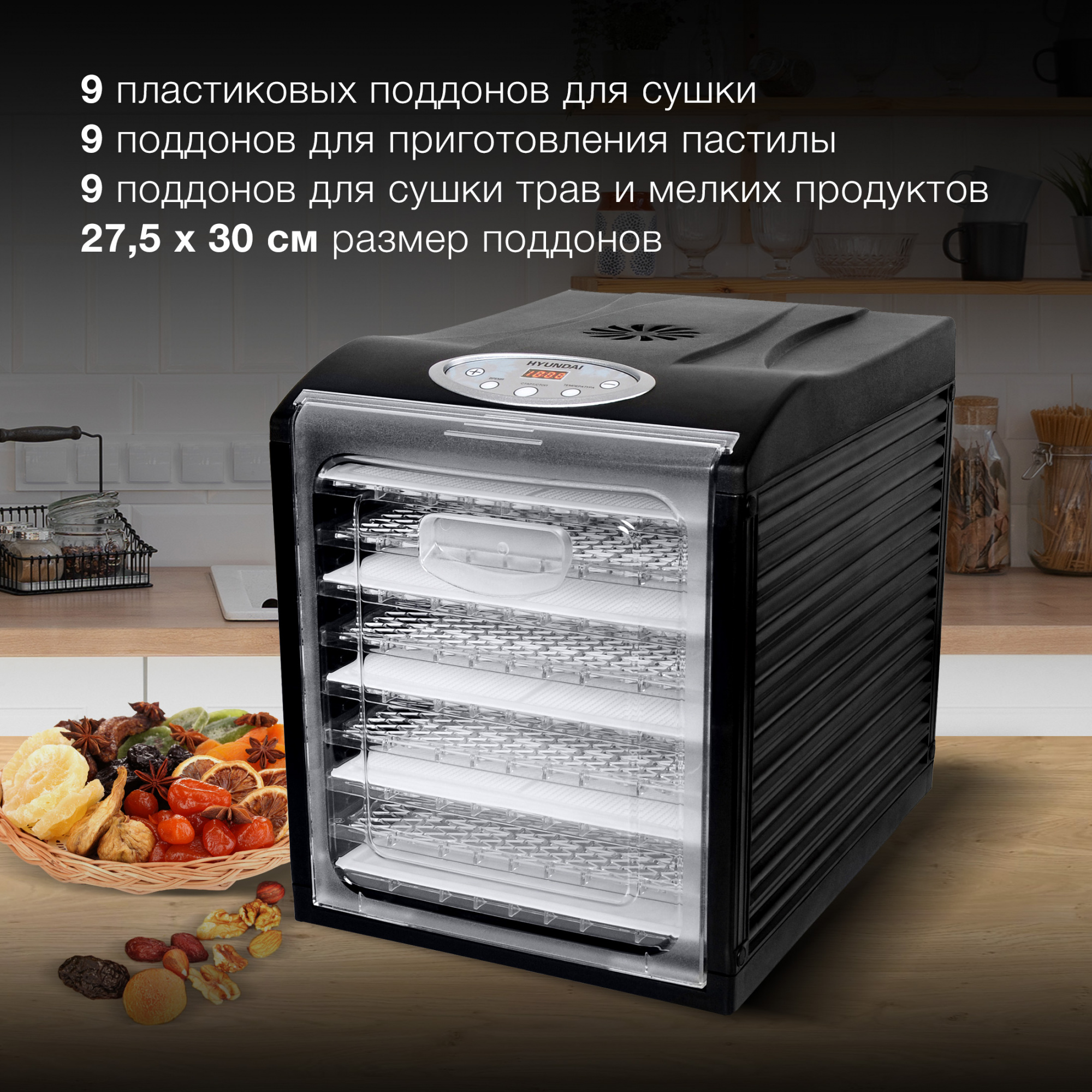 Сушка Hyundai HYFD-1802 черный