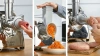 Мясорубка Bosch MFW67440 черный/серебристый