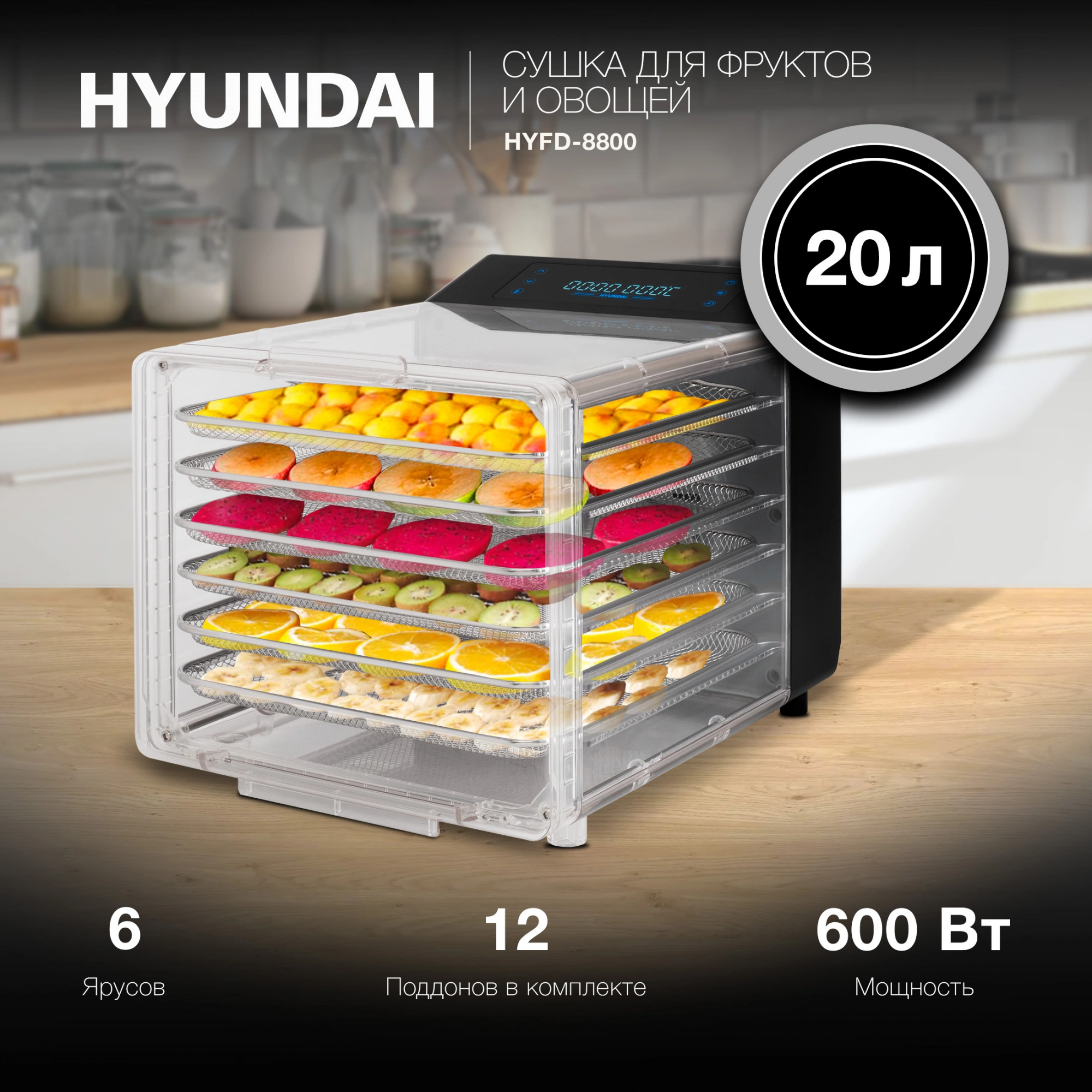 Сушка Hyundai HYFD-8800 черный