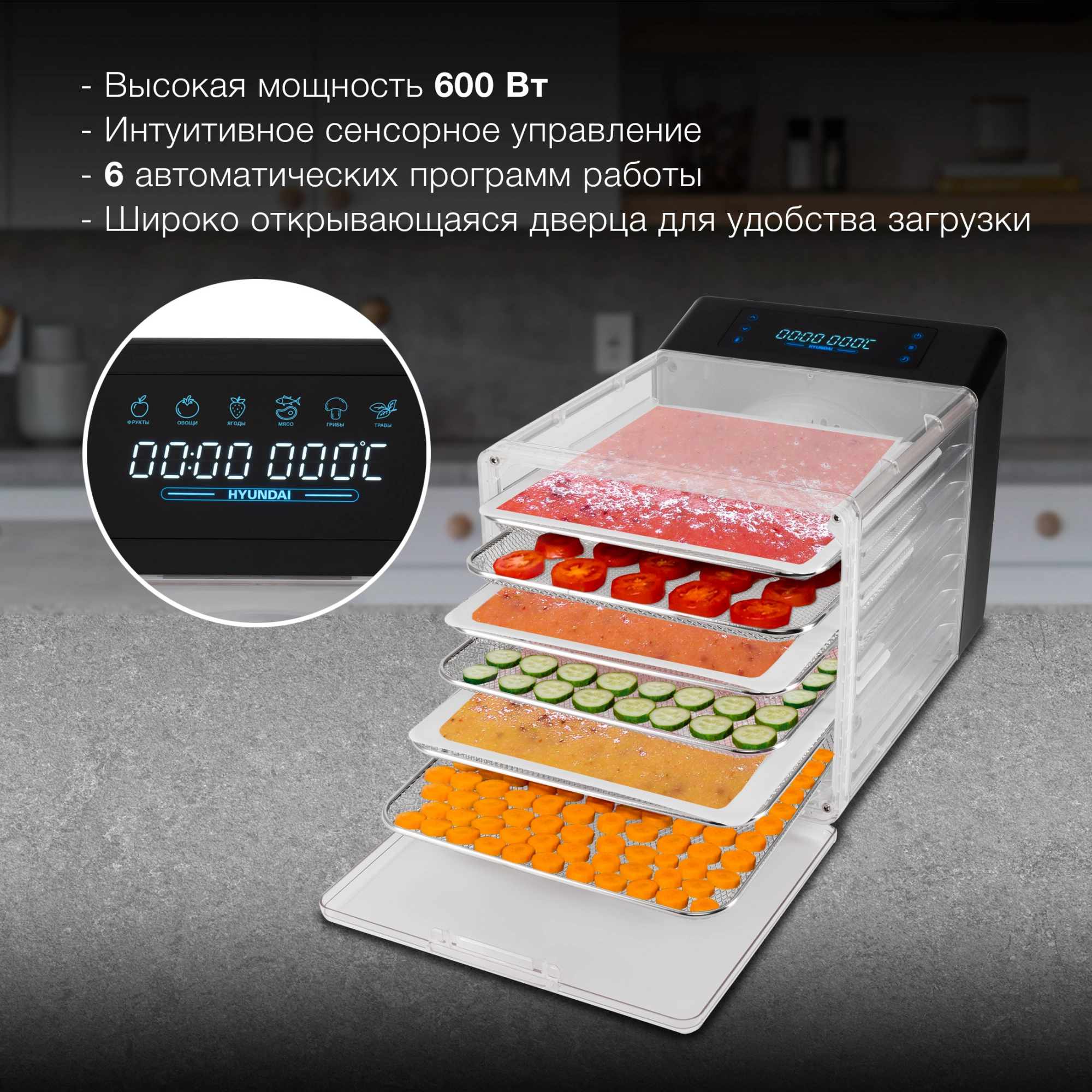 Сушка Hyundai HYFD-8800 черный
