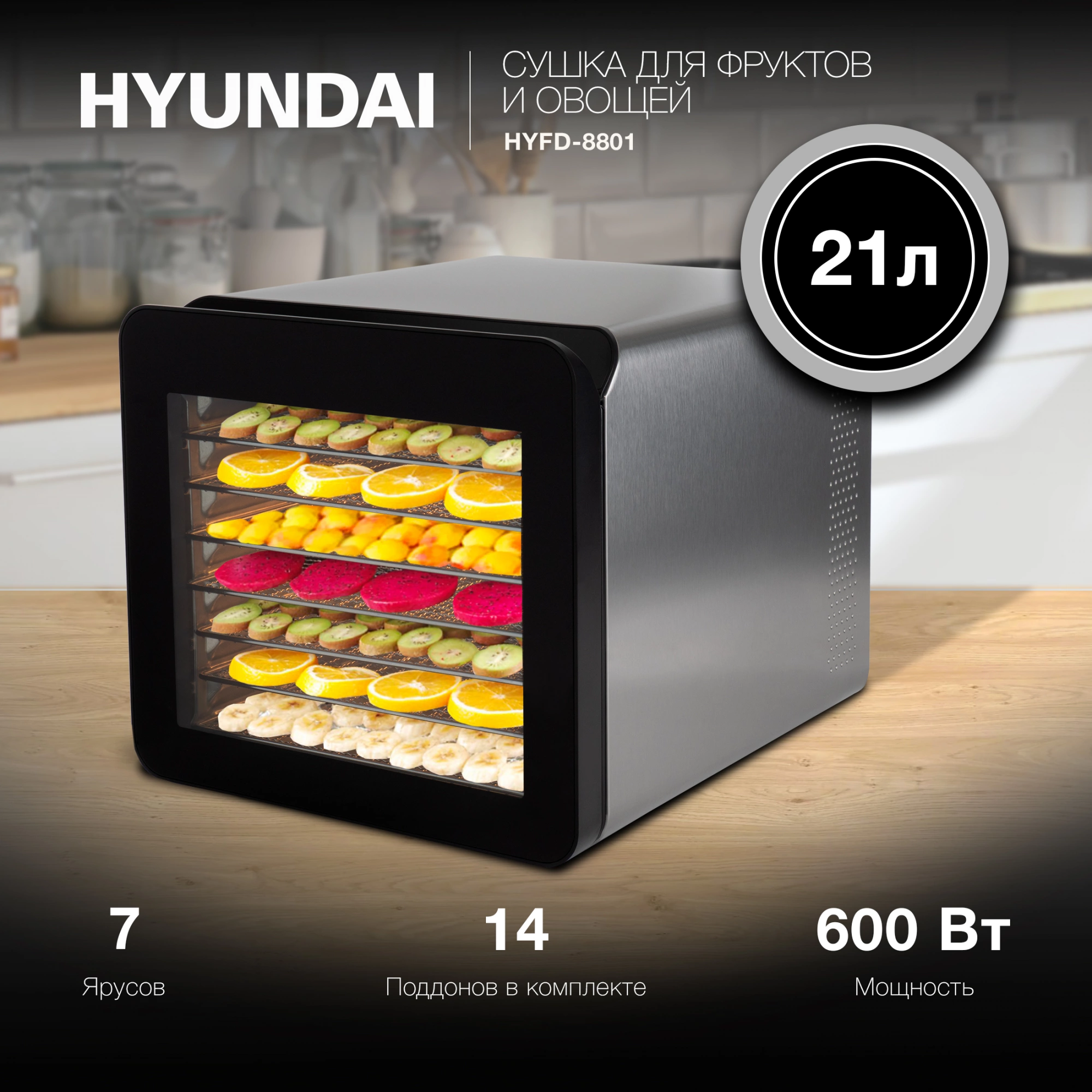 Сушка Hyundai HYFD-8801 серебристый