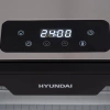 Сушка Hyundai HYFD-8802 серебристый