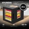 Сушка Hyundai HYFD-8804 черный