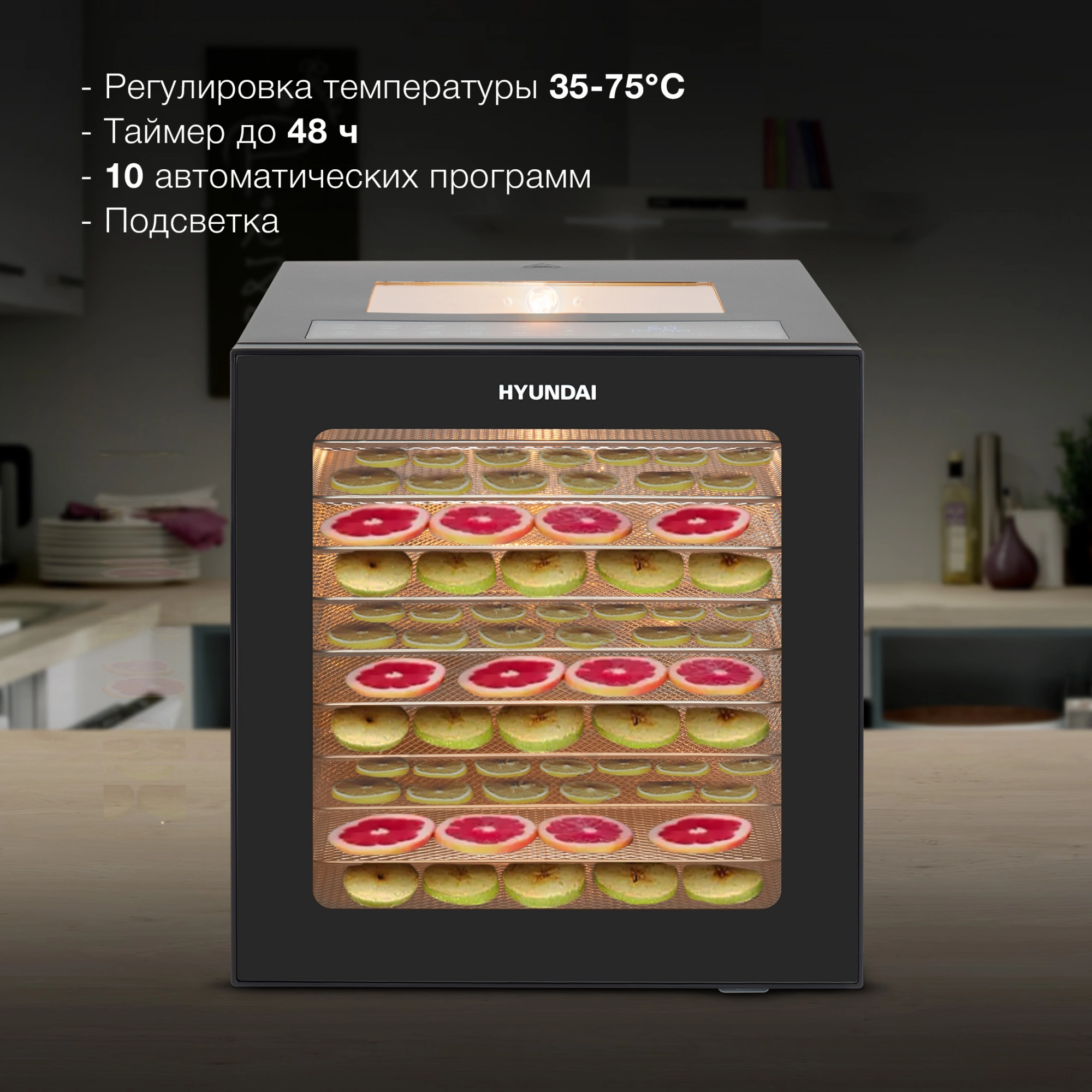 Сушка Hyundai HYFD-8804 черный