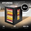 Сушка Hyundai HYFD-8803 черный