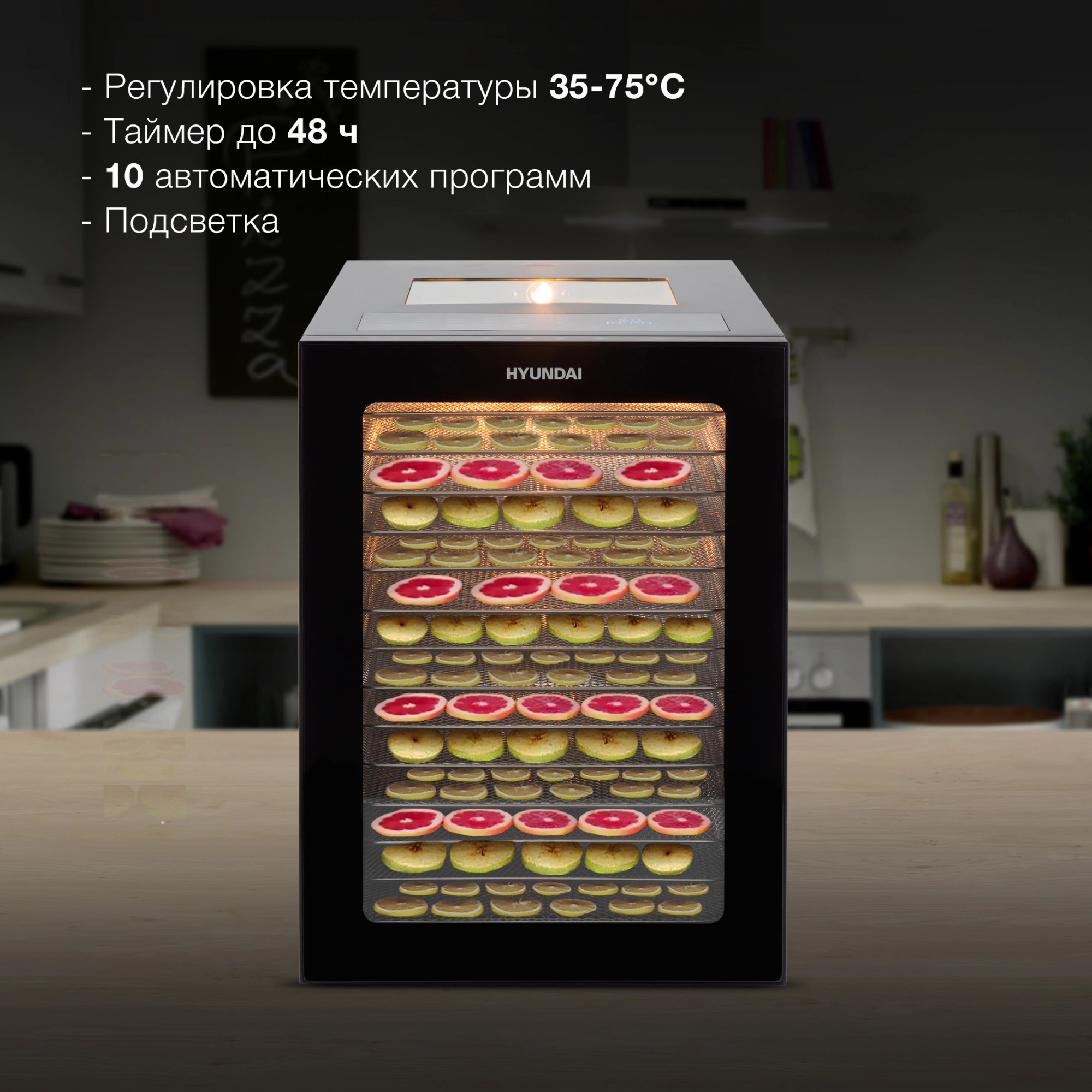 Сушка Hyundai HYFD-8803 черный