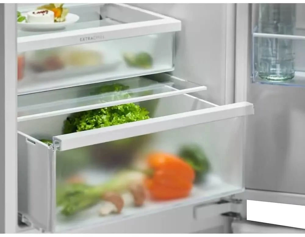 Холодильник Electrolux ENT6ME19S