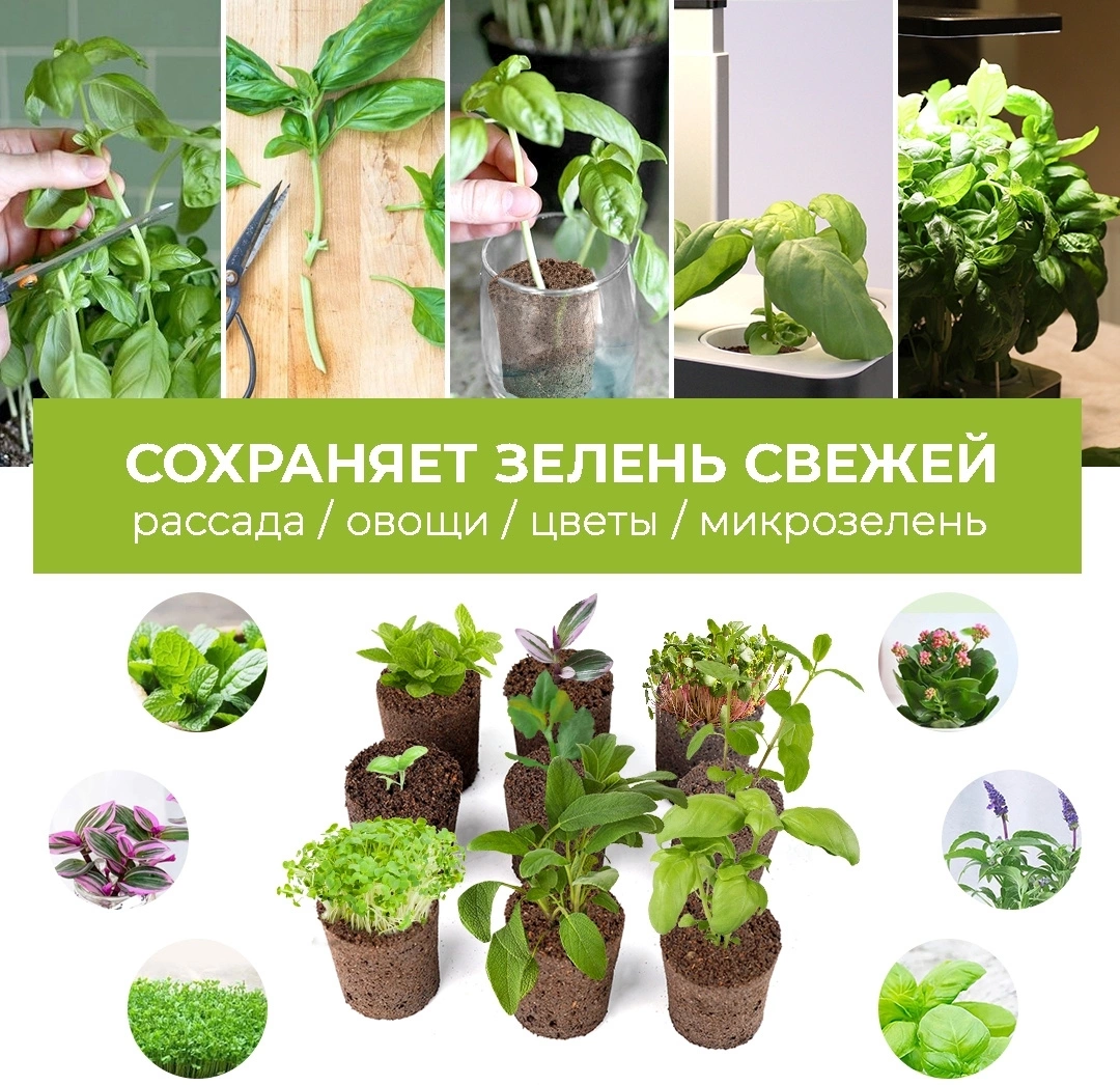 Набор питательных губок Cactus CS-SPONGE-20 для проращивания (упак.:20шт) коробка