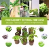 Набор питательных губок Cactus CS-SPONGE-20 для проращивания (упак.:20шт) коробка