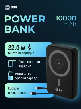 Мобильный аккумулятор CACTUS CS-PBFSUA-10000 черный