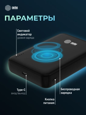 Мобильный аккумулятор CACTUS CS-PBFSUA-10000 черный