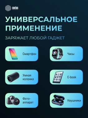 Мобильный аккумулятор CACTUS CS-PBFSUA-10000 черный