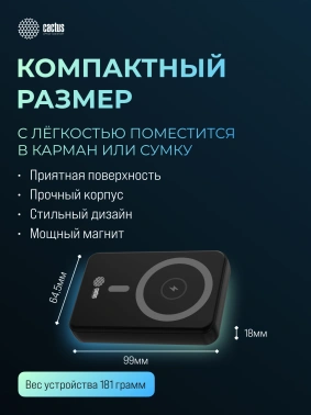 Мобильный аккумулятор CACTUS CS-PBFSUA-10000 черный