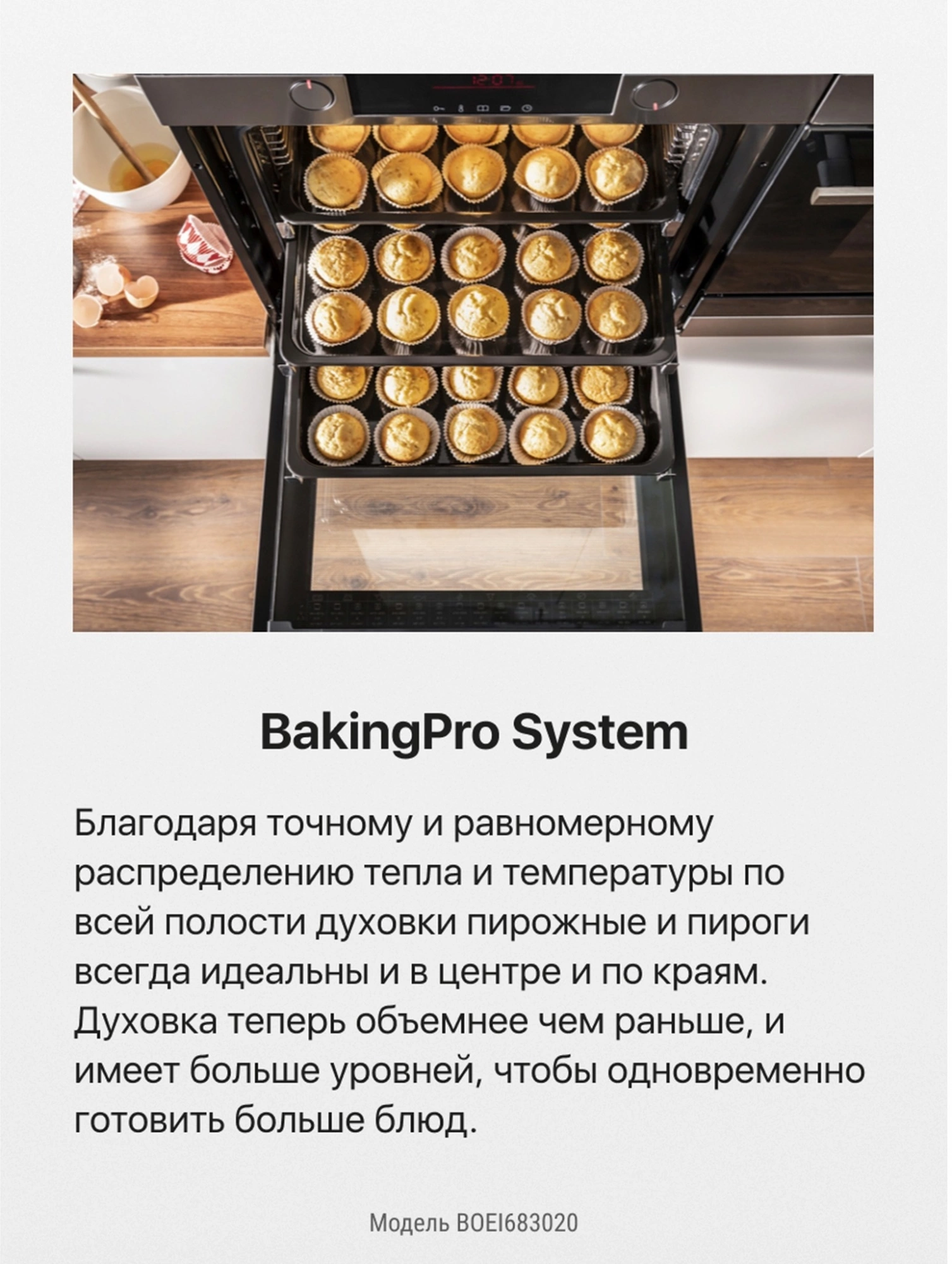 Духовой шкаф Hansa BOES683020 черный