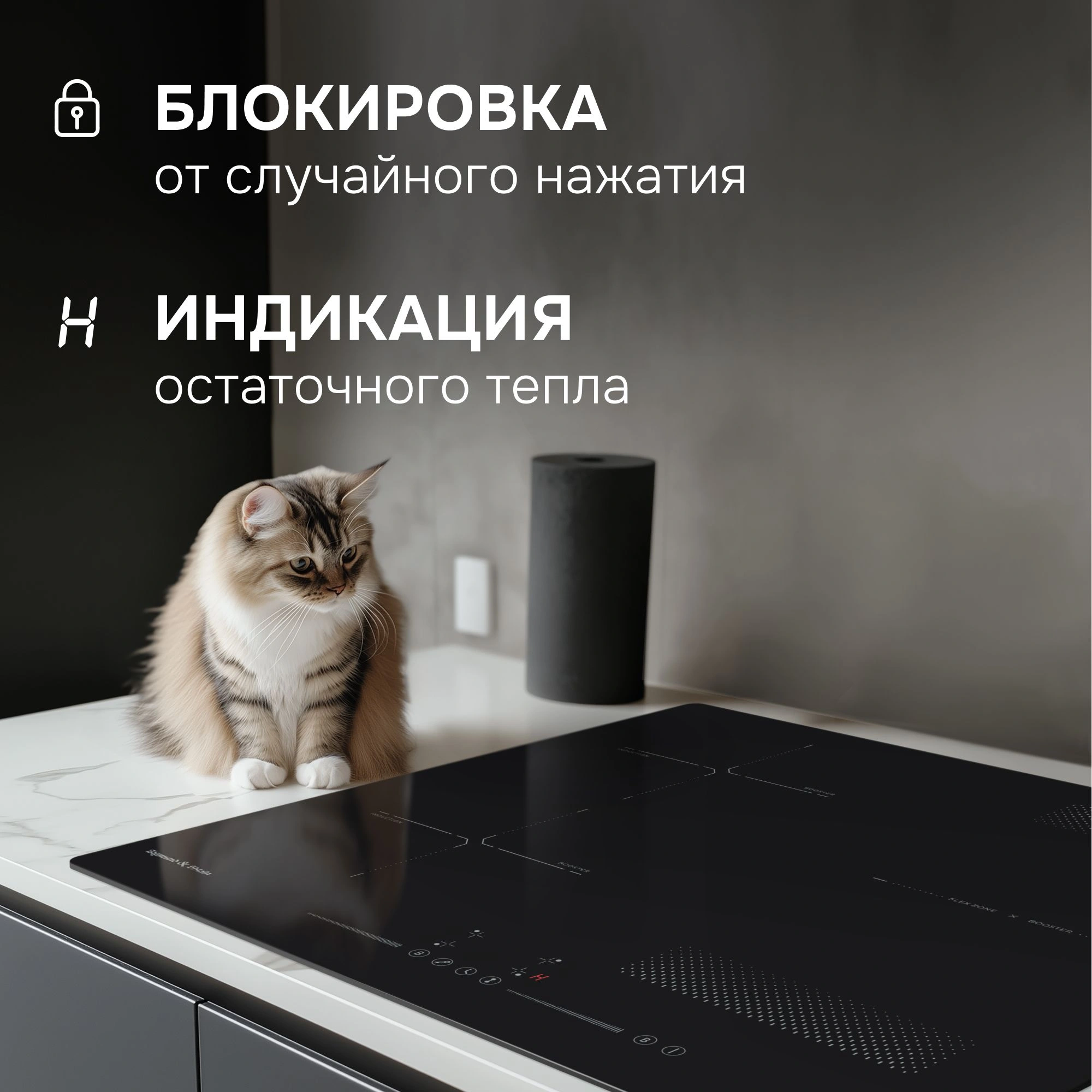 Индукционная варочная поверхность Zigmund & Shtain CI 61.6 B черный
