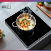 Плита Индукционная Oasis PI-SJFE черный