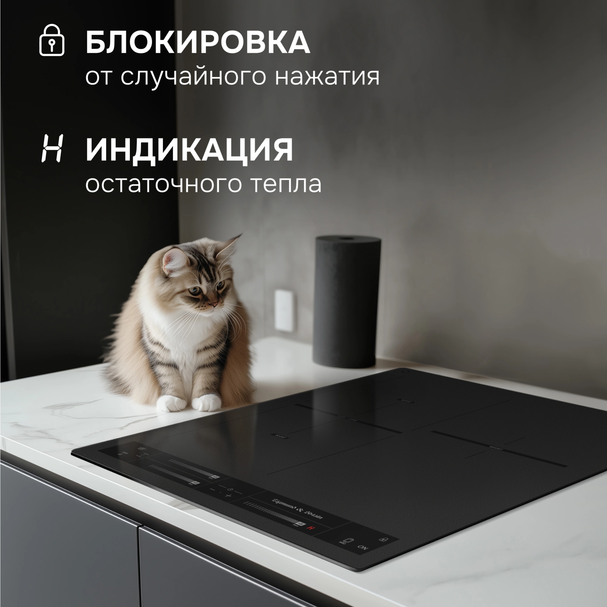 Индукционная варочная поверхность Zigmund & Shtain CI 24.4 B черный