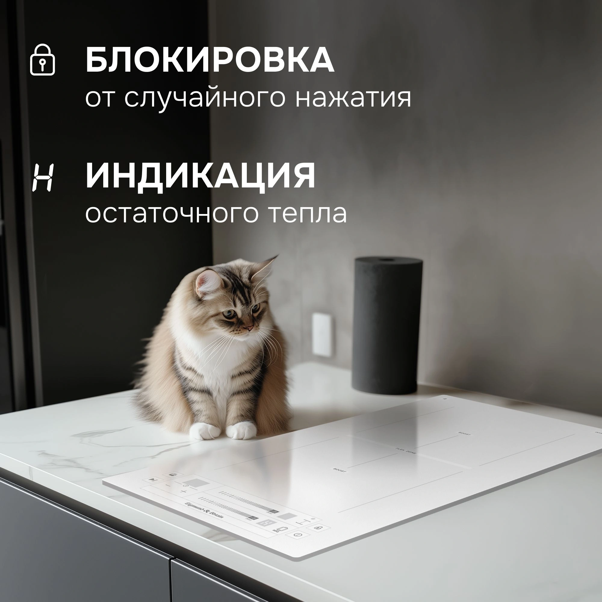 Индукционная варочная поверхность Zigmund & Shtain CI 24.3 W белый