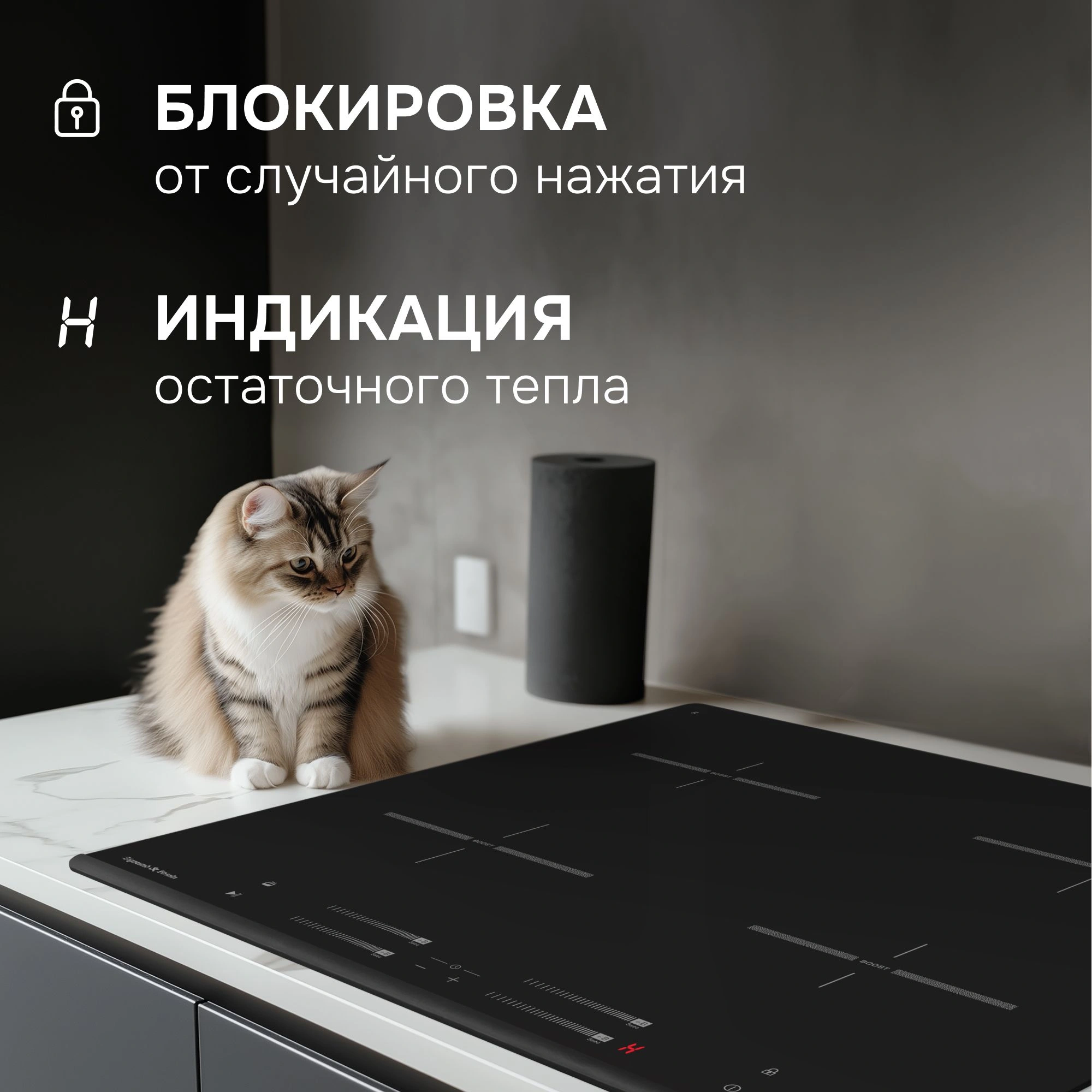 Индукционная варочная поверхность Zigmund & Shtain CI 23.6 BX черный