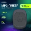 Плеер Digma C2L 4ГБ серый (c2lg)